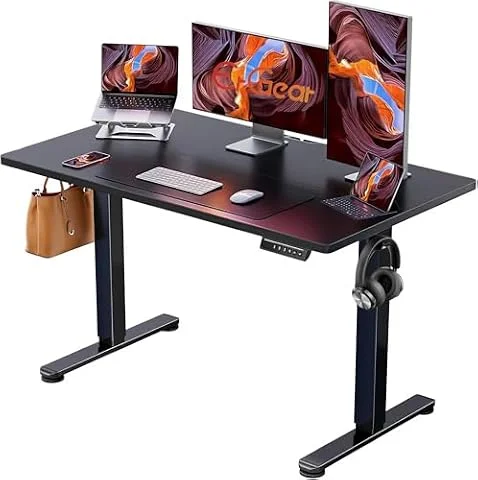 ErGear 48 X 24 Inch Height Adjustable Electric Standing Desk, Black | Stand Up office Desk, Home Office Computer Desk with 4 Memory Presets, Stable Steel Frame, 176 lbs Capacity, Easy Assembly