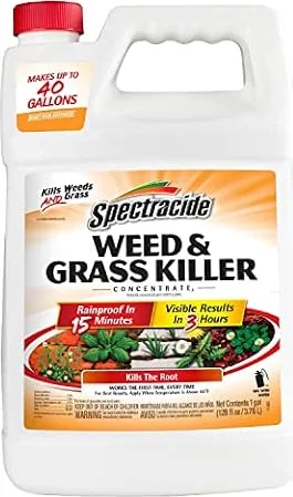 Spectracide Weed & Grass Killer Concentrate for Driveways & Walkways, 1 Gal | Kills Broadleaf Weeds & Grasses Down To The Root, Use on Driveways, Walkways, Patios & More, Makes up to 40 Gallons